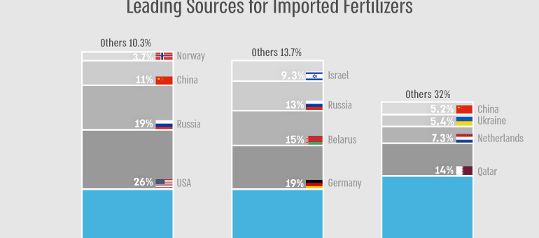 אדקיט, ייעוץ לחדירה לשוק